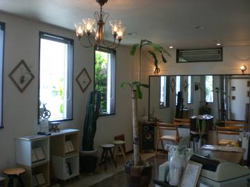 coiffure Cest la vie! | 前橋のヘアサロン