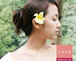 Luca 前橋文京店 | 前橋のエステサロン