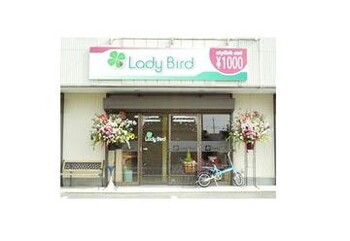 LadyBird 高崎店 | 高崎のヘアサロン