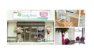 LadyBird 高崎店 | 高崎のヘアサロン