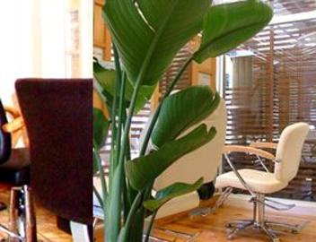 WHISP resort | 北杜のヘアサロン WHISP resort | 北杜のヘアサロン