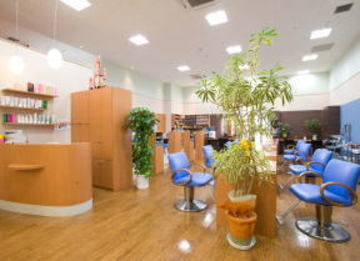 美容室 Sapige【サピージュ】 | 豊橋のヘアサロン