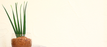 Our garden | 伏見のヘアサロン