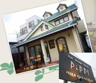 PiPPI | 浜松のヘアサロン PiPPI | 浜松のヘアサロン