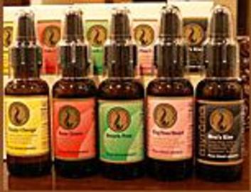 pupukea | 浜松のヘアサロン