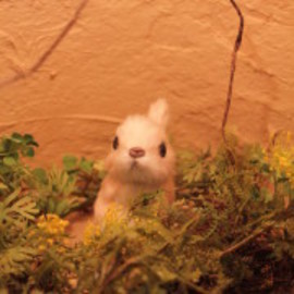 美容室 fuwari | 浜松のヘアサロン