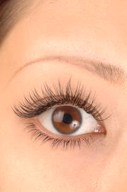 リリーベイブ LILY BABE | 梅田のアイラッシュ