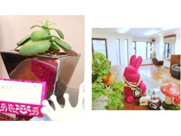 ハチ HACHI | 心斎橋のヘアサロン