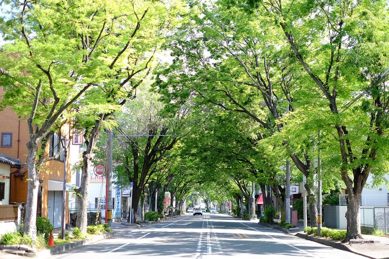 【ヘアーエステ専門店】Hair Esthe Salon yak | 堺のヘアサロン