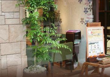 sifa | 池田のヘアサロン