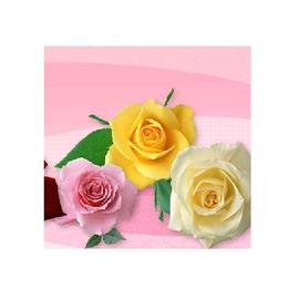 Hair Make Near 石切店 | 東大阪のヘアサロン