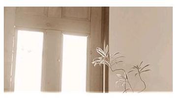 hair-achieve | 和泉のヘアサロン