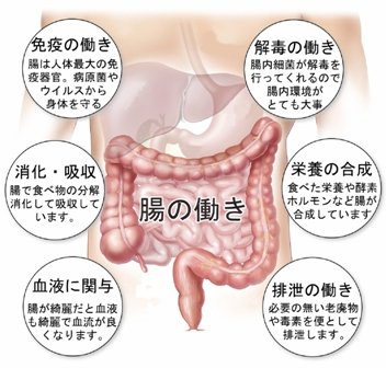 NATURAL STYLE | 三宮のリラクゼーション