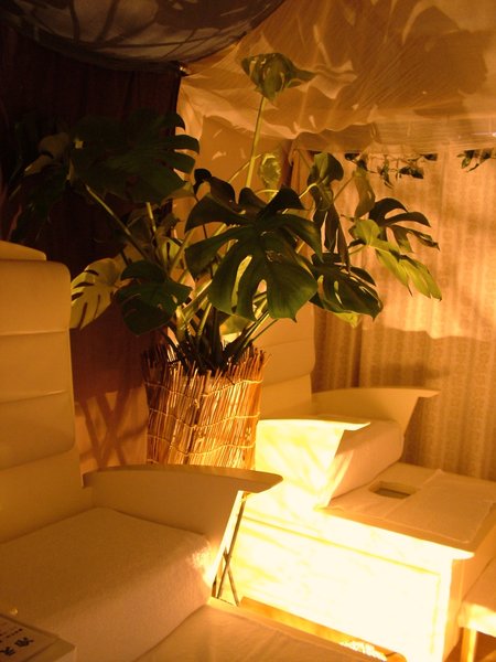 YOSAPARK Mox 小瀬店 | 貝塚のリラクゼーション