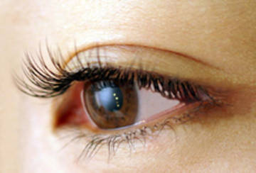 Eyebrow and Eyelash Salon DIVA | 木津川のアイラッシュ