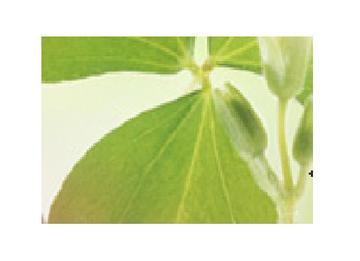 FLOVE Glam店 | 木津川のヘアサロン