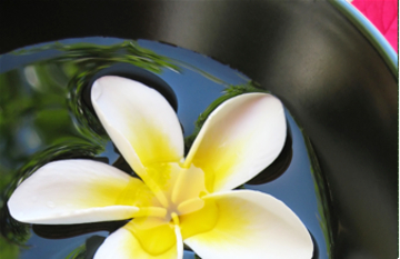 アジアンガーデン草津店 | 草津のエステサロン