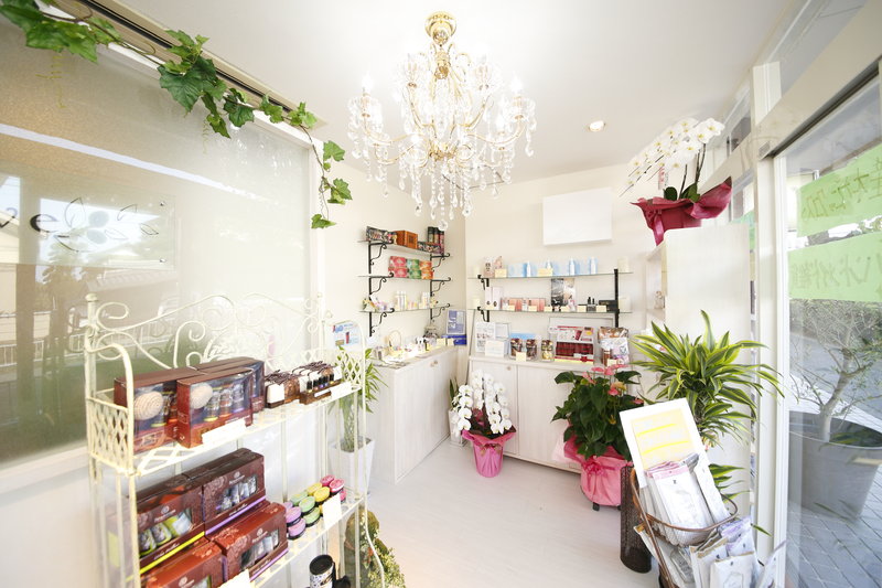 エステティックサロン 美・健・学 オリーブ | 生駒のエステサロン エステティックサロン 美・健・学 オリーブ | 生駒のエステサロン