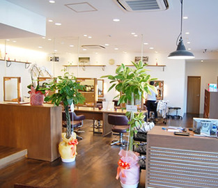 ヘアーズ hairs 岡山ドーム前店 | 岡山のヘアサロン