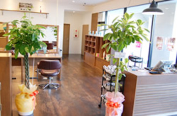 ヘアーズ hairs 岡山ドーム前店 | 岡山のヘアサロン