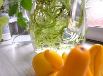 OrangOrang | 福井のヘアサロン