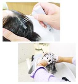 髪と頭皮のクリニック　美髪や | 福井のヘアサロン