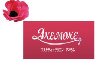 エステティックサロン　ANEMONE　アネモネ　名古屋店 | 栄/矢場町のエステサロン