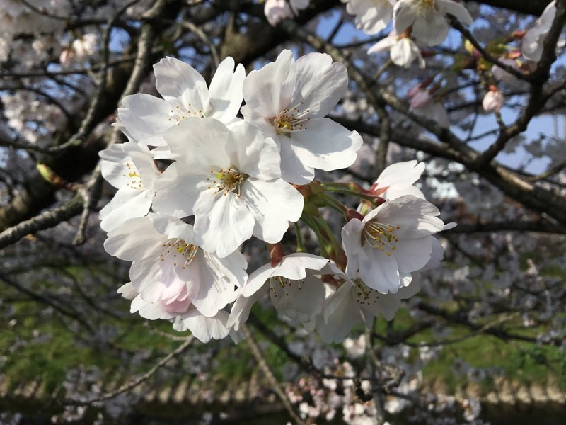 ＶＩＳ・Ａ・ＶＩＳ　ＲＥＭＩＸ | 本巣のヘアサロン