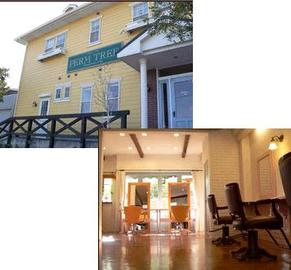 美容室PERM TREE 本店 | 浜松のヘアサロン 美容室PERM TREE 本店 | 浜松のヘアサロン