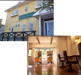 美容室PERM TREE 本店 | 浜松のヘアサロン