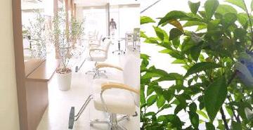 Ｈｕｍ'ｓ ＨＡＩＲ | 三島のヘアサロン