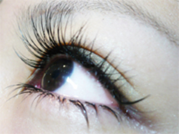 アイラッシュ専門 GRAZIE | 心斎橋のアイラッシュ アイラッシュ専門 GRAZIE | 心斎橋のアイラッシュ