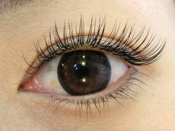 eyelash peTiT-アイラッシュプティ- | 淀屋橋/北浜のアイラッシュ eyelash peTiT-アイラッシュプティ- | 淀屋橋/北浜のアイラッシュ