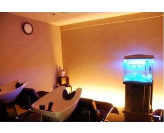 aile mer | 天満/南森町のヘアサロン aile mer | 天満/南森町のヘアサロン