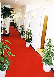 モモタロー　国際ビル店 | 本町のヘアサロン