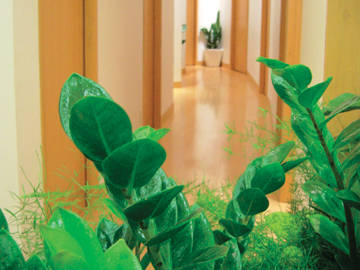 ナチュラルガーデンなんばパークス店 | なんばのリラクゼーション