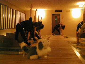 岩盤浴もりの王国 | 天王寺/阿倍野のリラクゼーション