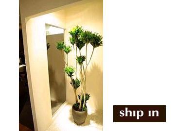 ship in | 天王寺/阿倍野のヘアサロン ship in | 天王寺/阿倍野のヘアサロン