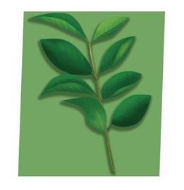 Sole e Luna | 大東のヘアサロン