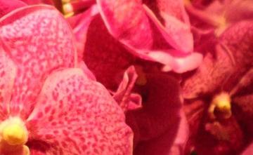 Lento | 御池/御所/二条城のエステサロン Lento | 御池/御所/二条城のエステサロン