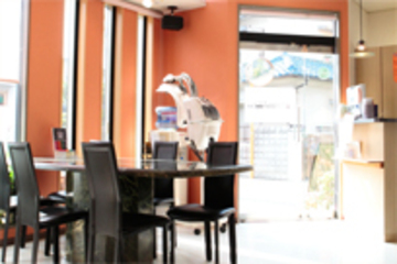 ピュア モード カヨ PURE MODE Kayo | 嵐山/嵯峨野/桂のヘアサロン ピュア モード カヨ PURE MODE Kayo | 嵐山/嵯峨野/桂のヘアサロン