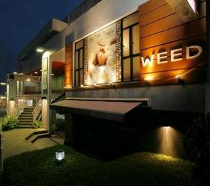 WEED 学園前店 | 奈良のエステサロン