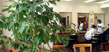 MEGAMI MIX清水店 | 岡山のヘアサロン MEGAMI MIX清水店 | 岡山のヘアサロン