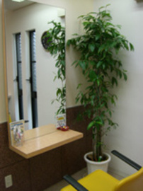 WEST CLUB | 今治のヘアサロン