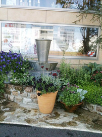 ブルースター | 松山のリラクゼーション