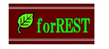 もみ徳 博多駅前店（forREST） | 博多のリラクゼーション