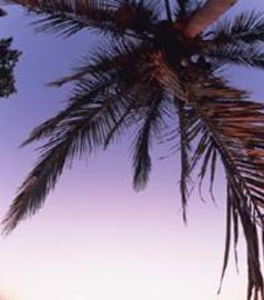 トータルリラクゼーションちゅら | 那覇のリラクゼーション