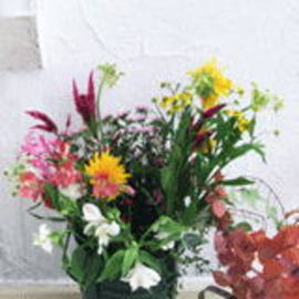 サチ美容室 | 鳴門のヘアサロン