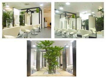 Ｂｉｓ! イオンモール直方店 | 直方のヘアサロン