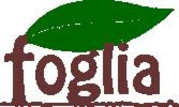 foglia | 大分のヘアサロン